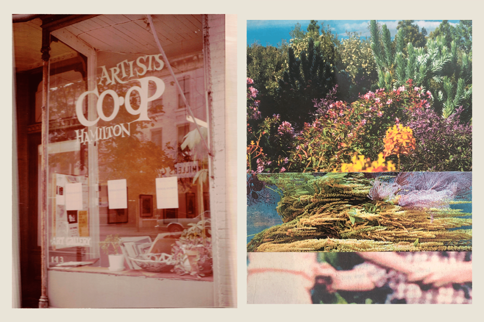 two images side by side, one is the outside of a store front that reads "artist co-op hamilton" in the window, the other image is a cut up and edited photos of flowers and plants. 