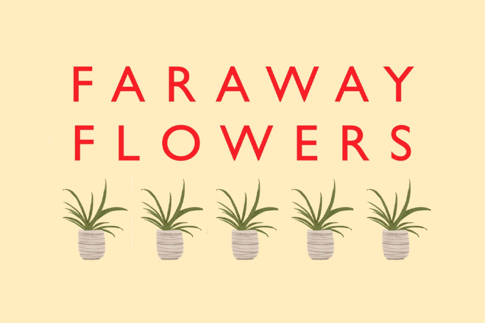 Yellow background with red text that reads "faraway flowers" with 5 identical drawn plant pots underneath the next