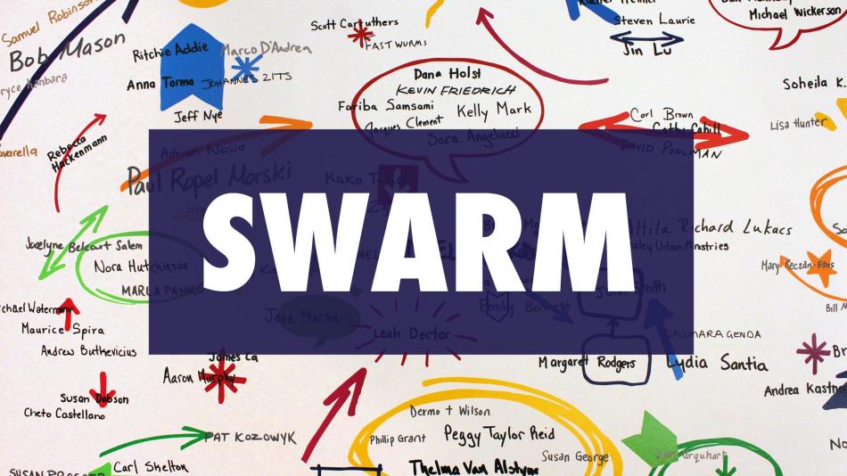 Swarm_fb_2